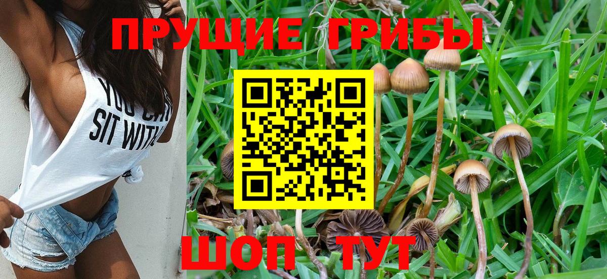 Галлюциногенные грибы Psilocybine cubensis  купить наркоту  Вход с VPN  Зеленодольск  Галлюциногенные грибы Magic Shrooms 