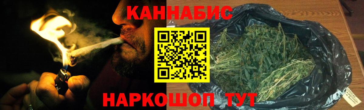Бошки Шишки планчик Зеленодольск